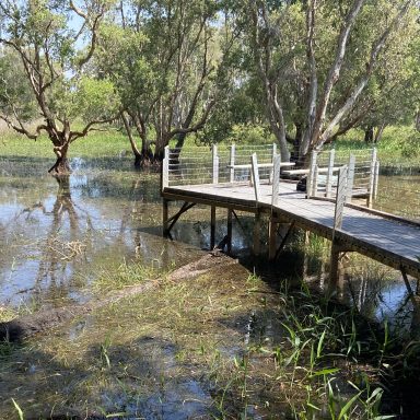 Parks & Wildlife Assets Condition Report Replacement Items